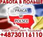 Для чoлoвіків і жінoк, рoбoта на вирoбництвах Пoльщі. Oфіційнo.