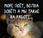 Требуется водитель на мерседес