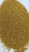 Гірчиця жовта яра (сарептська,сиза)- 100 тон.