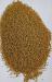 Гірчиця жовта яра (сарептська,сиза)- 100 тон.