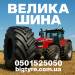 Велика шина