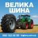 velykashyna