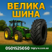 velykashyna