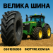 velykashyna