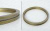 brake piston