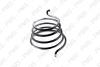 ZF spring